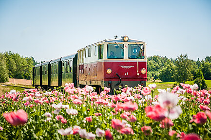 Mohnfelder entlang der Waldviertelbahn