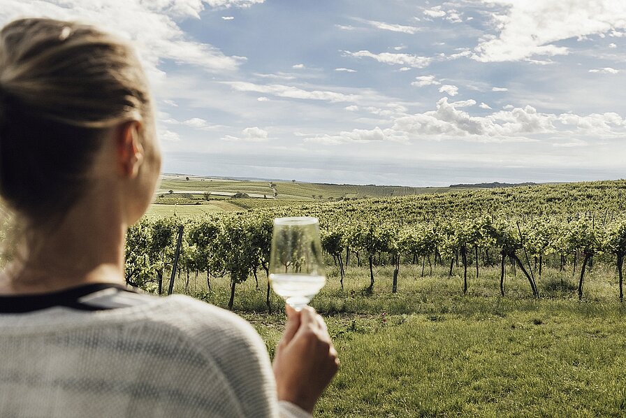 Genuss am Weinfrühling
